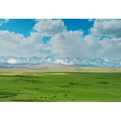 巴音布鲁克景区图2