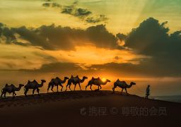 travel picture