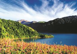 travel picture
