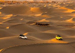 travel picture