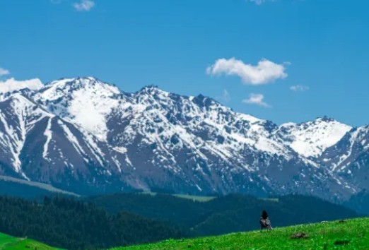 南山牧场景点