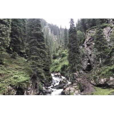 南山牧场景点图2