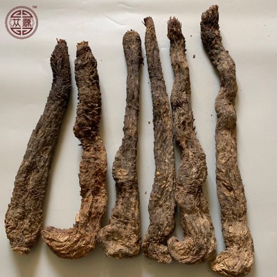 沙漠人参阿拉善油性软肉苁蓉 梭梭油苁蓉大芸整根切片泡酒料500g