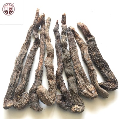 沙漠人参阿拉善油性软肉苁蓉 梭梭油苁蓉大芸整根切片泡酒料500g图2