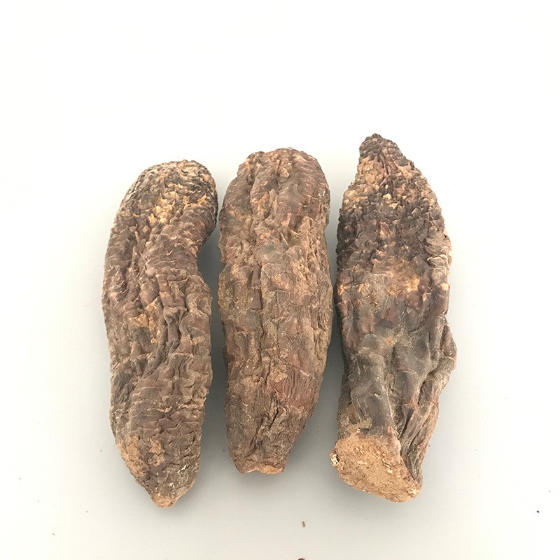 批发零售 新疆管花肉苁蓉硬大芸切片泡酒泡茶中药材沙漠人参500g 批发零售 新疆管花肉苁蓉硬大芸切片泡酒泡茶中药材沙漠人参500g