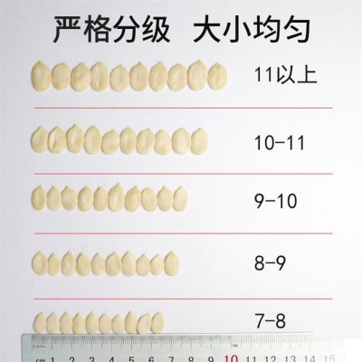 雪白仁生西瓜子仁30斤多规格烘焙原料五仁月饼馅新疆黑瓜子仁  30斤图4