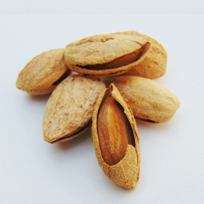 新疆特产纸皮巴旦木扁桃仁无加工生巴达木500g零食坚果散装包邮  1斤