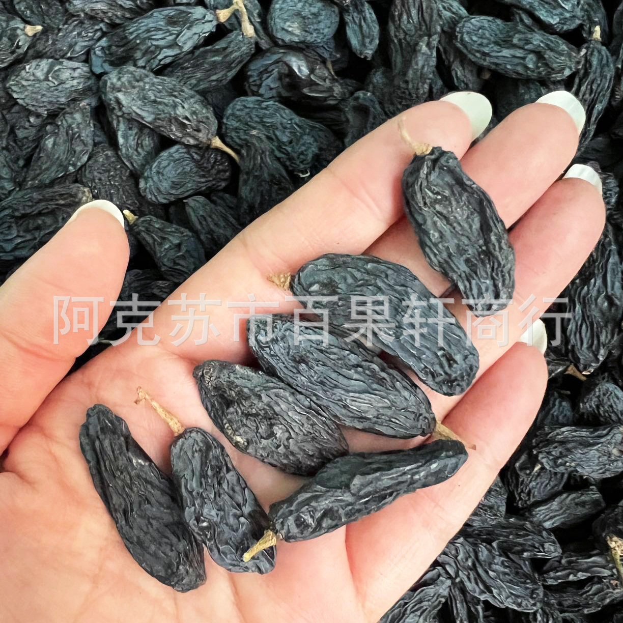 新疆 特产超王大颗粒黑加仑葡萄干无核无籽自然晾晒干500g批发  2斤
