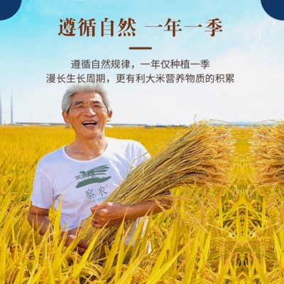 新疆察农伊犁特产察布查尔大米生态长粒抓饭香米袋子10斤当年新米  1斤图3