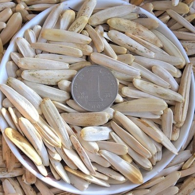 新疆特产阿克苏尖下巴马牙瓜子葵花子坚果炒货休闲袋装零食牙签  1袋图2