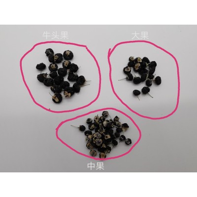天然黑枸杞批发新疆若羌戈壁滩果100g大罐装   5罐图4