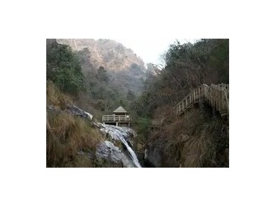 天峡万亩七彩杜鹃一日游