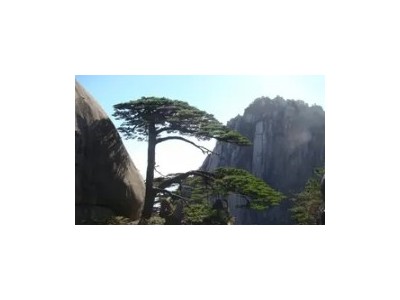 尊享黄山 宏村 翡翠谷纯玩2日游