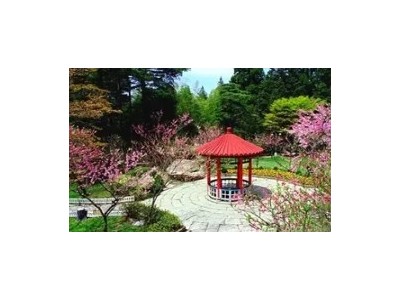 庐山旅游路线庐山山上一日游庐山推荐线路花径含鄱口等