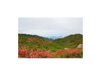 赏杜鹃花海大围山、游中南自然瀑布群周洛大峡谷