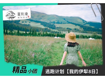 我的伊犁8日