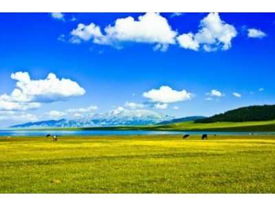 XJGS-秘境夏塔·纯臻伊犁纯玩8日游