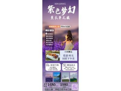 紫色梦幻 薰衣草之旅