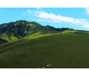新疆有很多美丽的草原风景，为什么那拉提最有名
