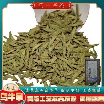 明前龙井43遂昌豆香板栗香扁型茶叶黄版新茶浙南茶叶高山茶乌牛早图3
