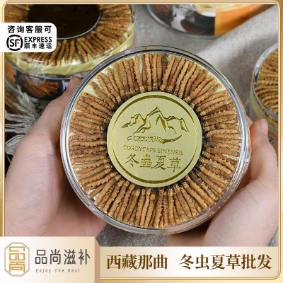 西藏那曲虫草100条装 头期冬虫夏草晒干足干冬虫夏草批发虫草批发   50条