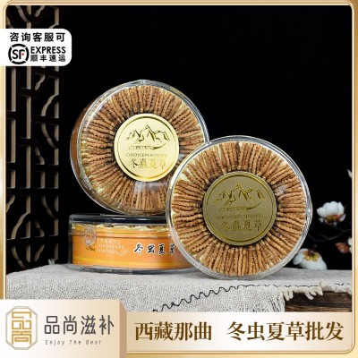 西藏那曲虫草100条装 头期冬虫夏草晒干足干冬虫夏草批发虫草批发   50条图2