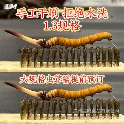 2025年头期新鲜虫草西藏那曲鲜虫草源头产地直发新鲜冬虫夏草批发   20条图2