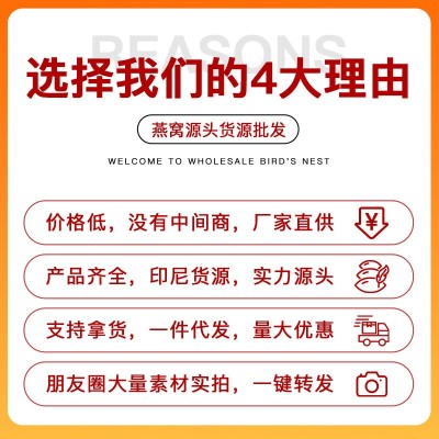 印尼溯源进口燕窝燕条鲜炖雨季燕窝条大燕条批发价孕妇滋补品批发  20克图4