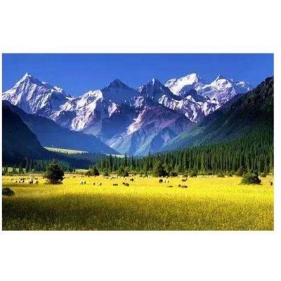 <品质纯玩6人小团>赛湖、那拉提必玩景点，探秘夏塔、琼库什台、恰西秘境图4