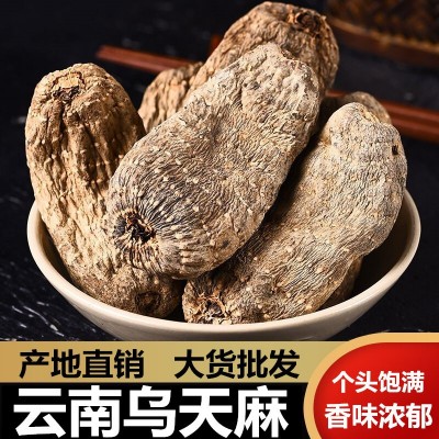 无硫天麻云南昭通小草坝天麻乌天麻丽江红天麻黑天麻超细天麻粉图2
