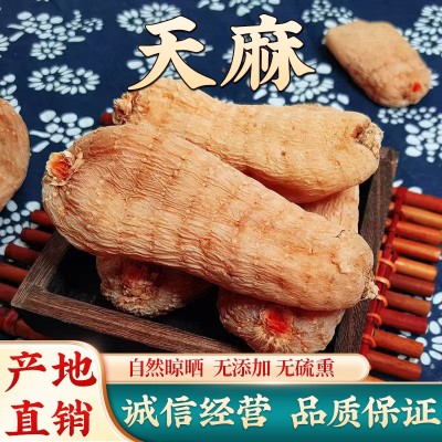云南邵通天麻批发产地大货统选天麻片仿野天麻中药材可代切片磨粉