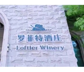 罗菲特酒庄宣传片