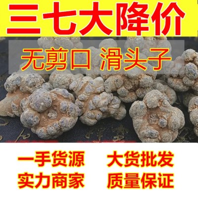云南文山春三七水洗干净田七20头30头40头60头足干产地批发