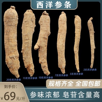 西洋参整枝【西洋参段500g】花旗参 长白山整枝西洋参切片  2斤