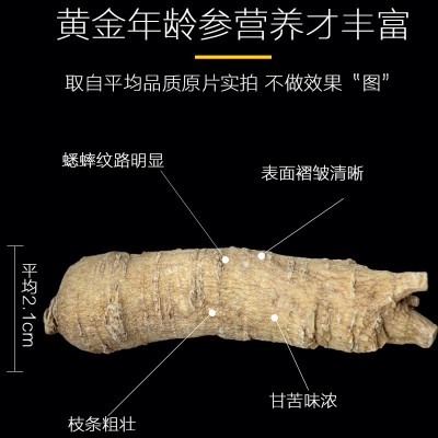 西洋参整枝【西洋参段500g】花旗参 长白山整枝西洋参切片  2斤图3
