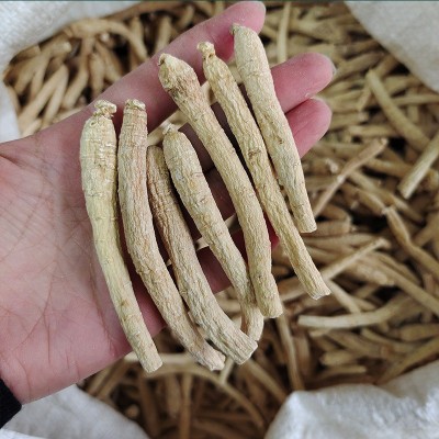 长白山西洋参条西洋参枝条整根西洋参段花旗参段西洋参整支原枝图2
