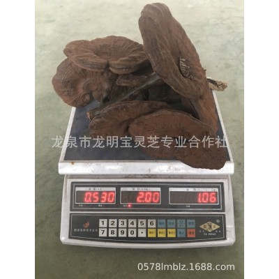 林下仿野生段木栽培黑灵芝紫灵芝整枝产地供货切片带粉500克林芝   2斤图3