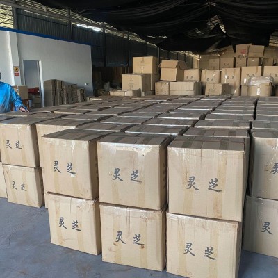 灵芝孢子粉 原粉批发 精粉 毛粉 350目过筛 纸筒套袋 孢子粉批发   25公斤