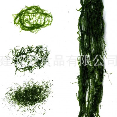浒苔 丝状青海苔 海苔花生 浒苔花生 咸香海苔 鲜香海苔