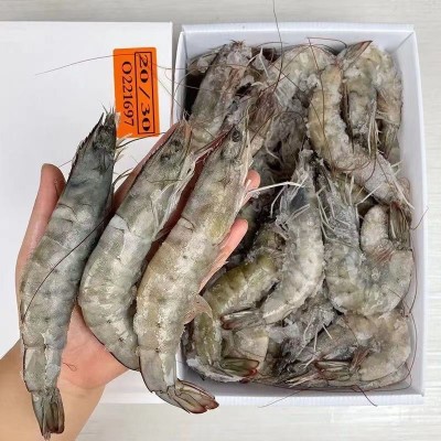 【工厂直发】新鲜海虾大虾鲜活冷冻盐冻大虾大青虾对虾大白虾批发图2