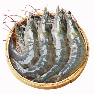 【工厂直发】新鲜海虾大虾鲜活冷冻盐冻大虾大青虾对虾大白虾批发图5
