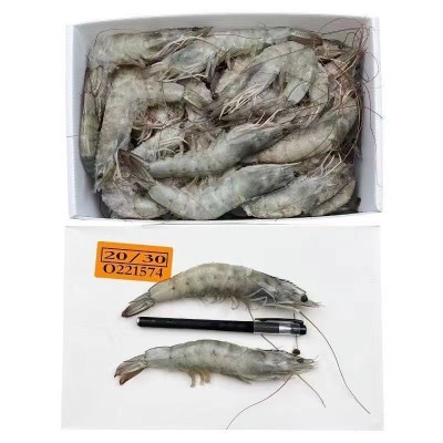 【工厂直发】新鲜海虾大虾鲜活冷冻盐冻大虾大青虾对虾大白虾批发图3