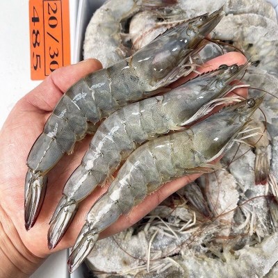 【工厂直发】新鲜海虾大虾鲜活冷冻盐冻大虾大青虾对虾大白虾批发