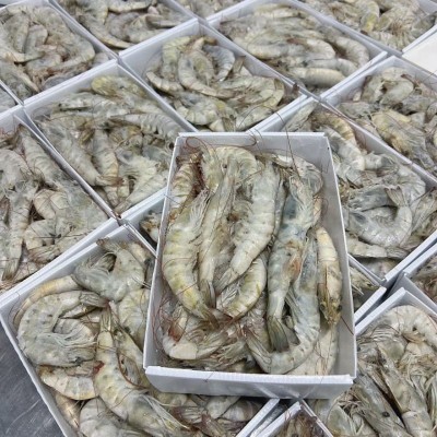 【工厂直发】新鲜海虾大虾鲜活冷冻盐冻大虾大青虾对虾大白虾批发图4