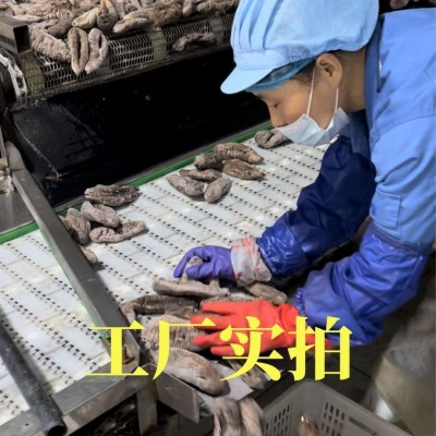 大乌参海茄参即食海参非大连刺参海茄子红玉参红极参葱烧海参批发图3