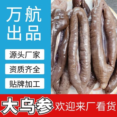 大乌参海茄参即食海参非大连刺参海茄子红玉参红极参葱烧海参批发