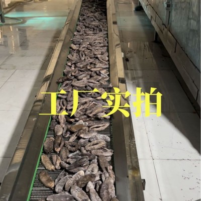 大乌参海茄参即食海参非大连刺参海茄子红玉参红极参葱烧海参批发图2