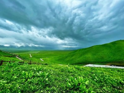 去新疆旅游北线最佳路线攻略（绝对纯干货）带你看新疆最美景点