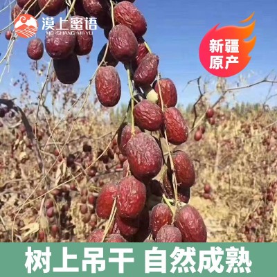 新疆有机灰枣证书产地证明低卡煲汤甘甜批发代发漠上果园有机灰枣图3