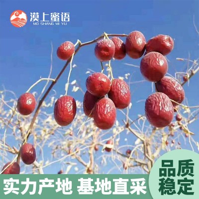 漠上果园正宗新疆灰枣低卡煲汤甘甜批发代发吊干红枣新枣电商直播   2袋图3